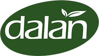 Dalan logo